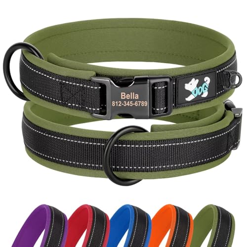 Didog Personalisiertes Nylon-Hundehalsband, Weich Neopren Gepolsterte Custom Hundehalsbänder, Reflektierendes Hundehalsband mit Gravur Namensschild für kleine, mittelgroße und große Hunde, Grün, XL von Didog