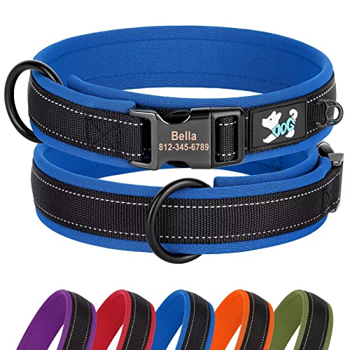 Didog Personalisiertes Nylon-Hundehalsband, weiches Neopren gepolstert, individuelle Hundehalsbänder, reflektierendes Hundehalsband graviertem Namensschild kleine, mittelgroße große Hunde, blau, M von Didog