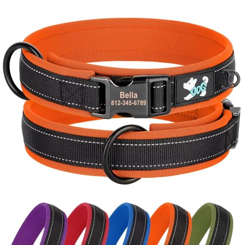 Didog Personalisiertes Nylon-Hundehalsband, weiches Neopren gepolstert, individuelle Hundehalsbänder, reflektierendes Hundehalsband graviertem Namensschild kleine, mittelgroße große Hunde, Orange, XL von Didog