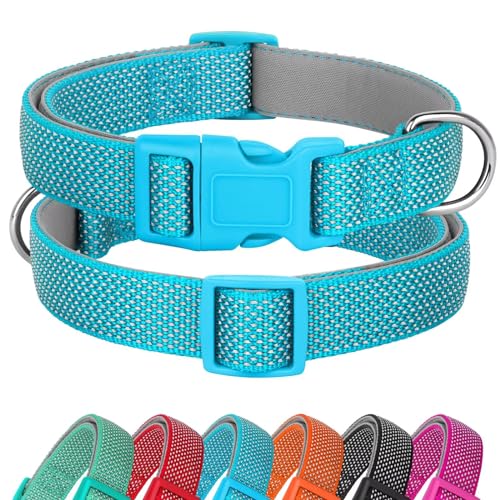 Didog Reflektierendes Hundehalsband mit Schnalle, verstellbar, weiches Neopren, gepolstert, Nylon, Haustierhalsbänder für kleine, mittelgroße und große Hunde, Blau, L von Didog