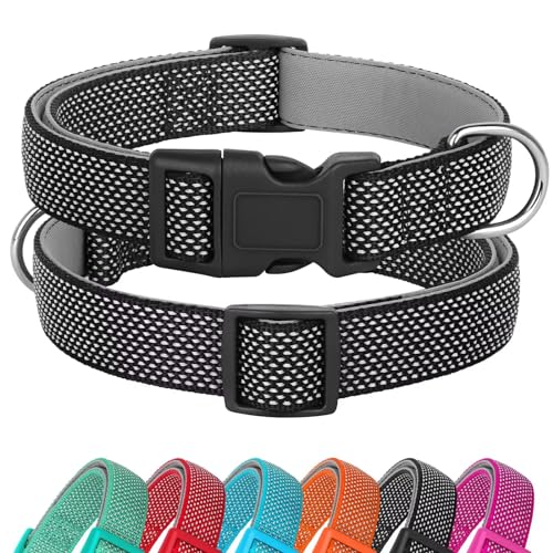 Didog Reflektierendes Hundehalsband mit Schnalle, verstellbar, weiches Neopren, gepolstert, Nylon, Haustierhalsbänder für kleine, mittelgroße und große Hunde, Schwarz, L Didog Reflektierendes Hundehalsband mit Schnalle, verstellbar, weiches Neopren, gepolstert, Nylon, Haustierhalsbänder für kleine, mittelgroße und große Hunde, Schwarz, L von Didog