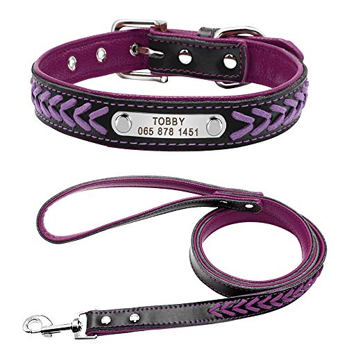 Didog Stilvolles, gepolstertes Hundehalsband und Leine, Leder, personalisierbar, für kleine und mittelgroße Hunde und Katzen, Violett, Größe M Didog Stilvolles, gepolstertes Hundehalsband und Leine, Leder, personalisierbar, für kleine und mittelgroße Hunde und Katzen, Violett, Größe M von Didog