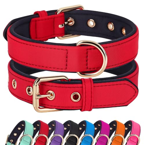 Didog Hundehalsband mit weicher Polsterung, Starke Hundehalsbänder mit Metallschnalle, leichte und atmungsaktive Hundehalsbänder für Große Hunde,Rot,L Didog Hundehalsband mit weicher Polsterung, Starke Hundehalsbänder mit Metallschnalle, leichte und atmungsaktive Hundehalsbänder für Große Hunde,Rot,L von Didog