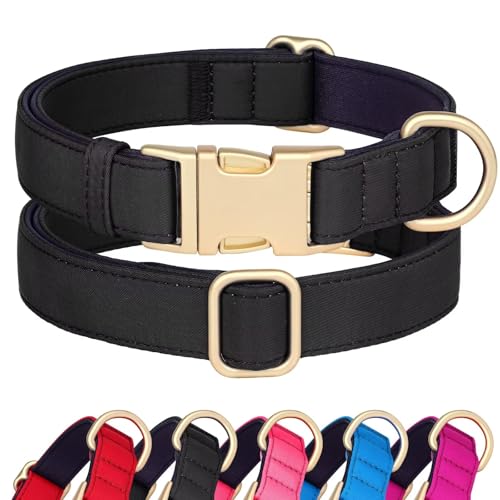 Didog Hundehalsband aus Nylon, weich gepolstert, strapazierfähiges Hundehalsband mit Schnellverschluss-Metallschnalle, leichtes und atmungsaktives Hunde Halsband für große, mittelgroße,Schwarz,M Didog Hundehalsband aus Nylon, weich gepolstert, strapazierfähiges Hundehalsband mit Schnellverschluss-Metallschnalle, leichtes und atmungsaktives Hunde Halsband für große, mittelgroße,Schwarz,M von Didog