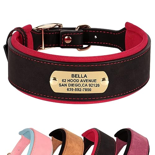 Didog Weich gepolstertes, personalisiertes Hundehalsband, breites Leder-Hundehalsband mit Namensschild, verstellbares Hundehalsband mit Metallschnalle für mittelgroße und große Hunde, Schwarz, XL von Didog