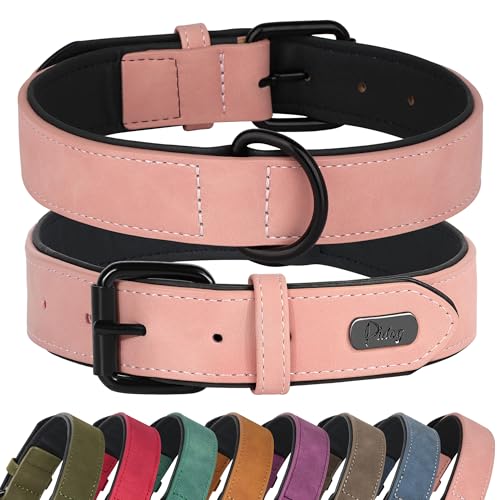 Didog Weich gepolstertes Hundehalsband aus Leder,strapazierfähiges Hundehalsband aus Leder mit Verstellbarer rostfreier Metallschnalle für kleine, mittelgroße und große Hunde, Pink, XL von Didog