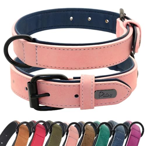 Didog Weich gepolstertes Hundehalsband aus Leder,strapazierfähiges Hundehalsband aus Leder mit Verstellbarer rostfreier Metallschnalle für kleine, mittelgroße und große Hunde, Pink, XL von Didog