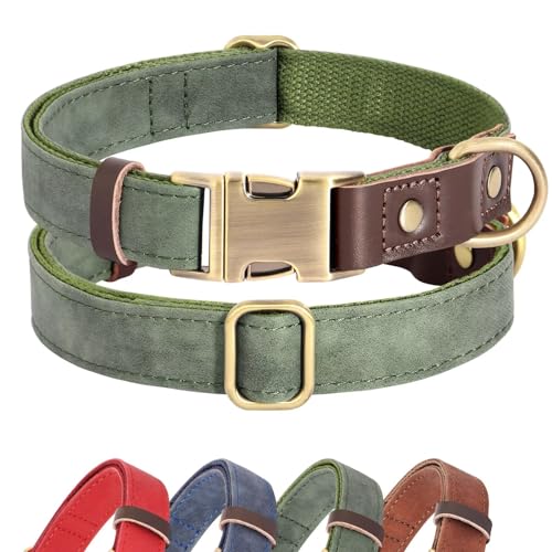 Didog Weich gepolstertes Lederhalsband für mittelgroße Hunde, klassisches Hundehalsband mit Metall-Schnellverschluss, verstellbar, mittelgroß, Kunstleder, grün, M Didog Weich gepolstertes Lederhalsband für mittelgroße Hunde, klassisches Hundehalsband mit Metall-Schnellverschluss, verstellbar, mittelgroß, Kunstleder, grün, M von Didog