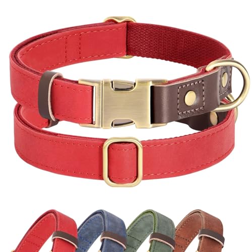 Didog Weich gepolstertes Leder-Hundehalsband für mittelgroße Hunde, klassisches, robustes Hundehalsband mit Schnellverschluss-Metallschnalle, verstellbar, mittelgroß, Leder, Rot, Größe M Didog Weich gepolstertes Leder-Hundehalsband für mittelgroße Hunde, klassisches, robustes Hundehalsband mit Schnellverschluss-Metallschnalle, verstellbar, mittelgroß, Leder, Rot, Größe M von Didog