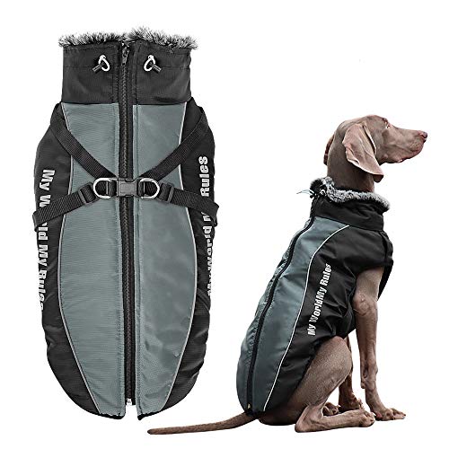 Didog wasserdichte Hunde-Winterjacke, Kaltwetter-Hundemäntel mit Geschirr und Pelzkragen, einfaches Gehen und weiche warme Sportbekleidung für mittelgroße und große Hunde, Grau, Größe 5XL von Didog