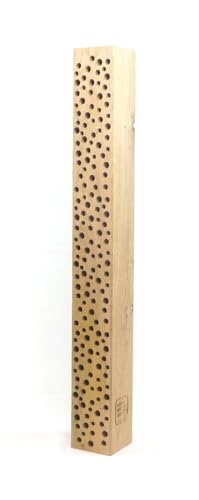 Insektenhotel Massiv Holzbiene Wildbiene 2024" Nisthilfe für Blauschwarze Holzbienen - Hochwertiges Eichenholz mit Löchern für Wollbienen (naturbelassen, 75cm) von Die Gartenbeet-Kiste
