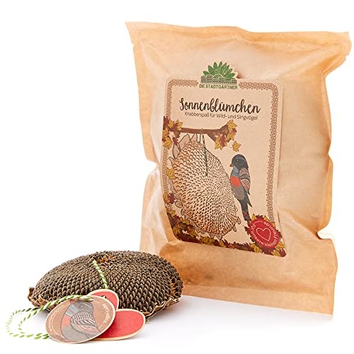 Die Stadtgärtner Sonnenblümchen I Schönes Vogelfutter zum Verschenken I Getrocknetes Sonnenblumenköpfchen zum Aufhängen I Vögel füttern & beobachten I Liebevoll verpackt in Handarbeit in Deutschland Die Stadtgärtner Sonnenblümchen I Schönes Vogelfutter zum Verschenken I Getrocknetes Sonnenblumenköpfchen zum Aufhängen I Vögel füttern & beobachten I Liebevoll verpackt in Handarbeit in Deutschland von Die Stadtgärtner