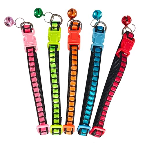 Diffaxy Katzenhalsband mit Sicherheitsverschluss 5-Stück, Verstellbares Halsband Katze mit Glöckchen, Leuchtenden Farben Katzen Halsbänder für alle Hauskatzen von Diffaxy