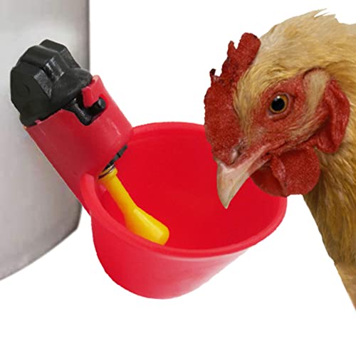 Dificato Automatische Geflügelbewässerungsbecher – 10 Stück Mehrzweck-Küken-Trinkschale Huhn Liefert | Langlebige Hühner-Trinkschale Wasser-Futtermaschine von Dificato