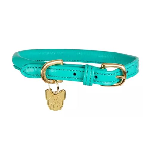Digby & Fox - Hundehalsband, Aufgerolltes Leder, Schnalle (L - Neckline: 53 cm-58 cm) (Petrol) von Digby & Fox