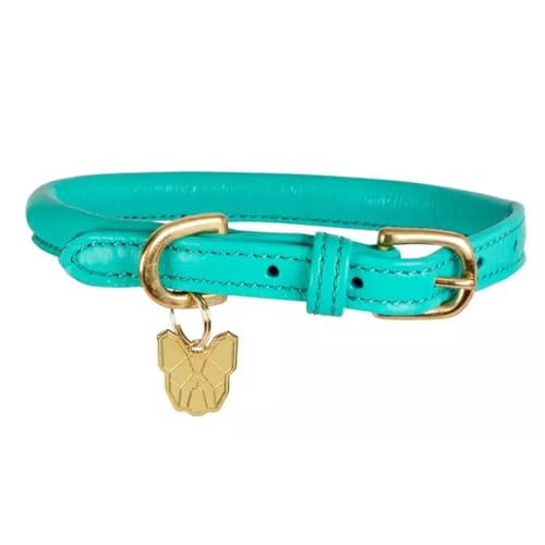 Digby & Fox - Hundehalsband, Aufgerolltes Leder, Schnalle (XXXS - Neckline: 17 cm-22 cm) (Petrol) von Digby & Fox