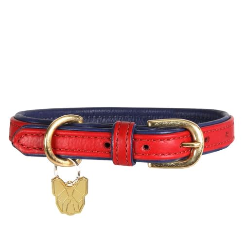 Digby & Fox - Hundehalsband, Leder, Wattiert (L - Neckline: 53 cm-58 cm) (Scharlachrot) von Digby & Fox