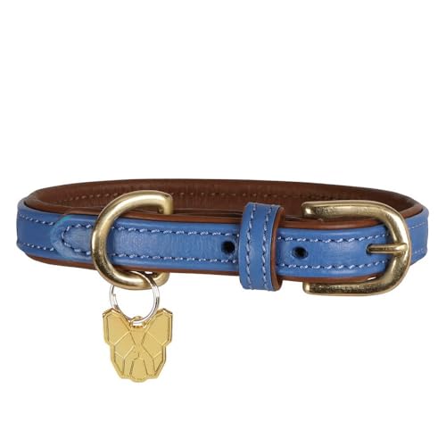 Digby & Fox - Hundehalsband, Leder, Wattiert (M/L - Neckline: 47 cm-52 cm) (Königsblau) von Digby & Fox
