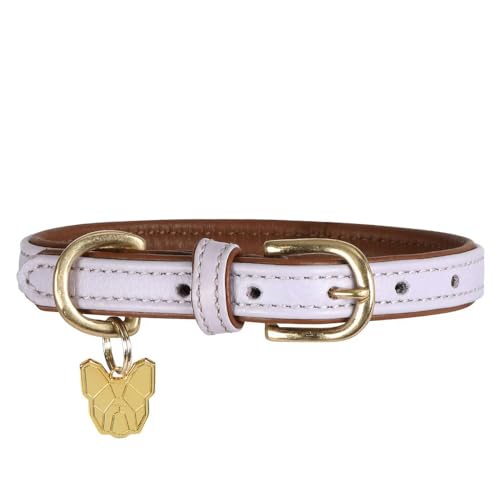 Digby & Fox - Hundehalsband, Leder, Wattiert (M - Neckline: 47 cm-52 cm) (Flieder) von Digby & Fox