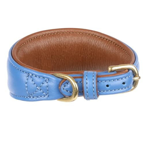 Digby & Fox - Hundehalsband für Windhunde, Leder, Wattiert (M - Neckline: 29 cm-34 cm) (Königsblau) von Digby & Fox