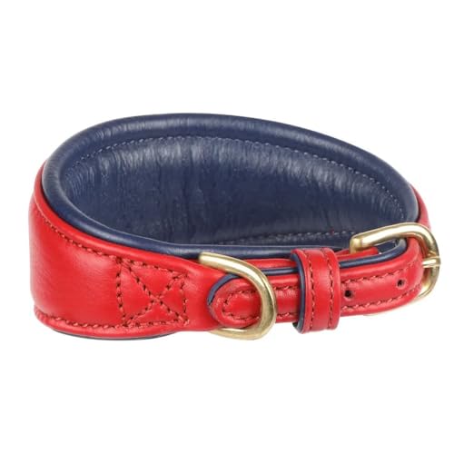 Digby & Fox - Hundehalsband für Windhunde, Leder, Wattiert (M - Neckline: 29 cm-34 cm) (Scharlachrot) von Digby & Fox
