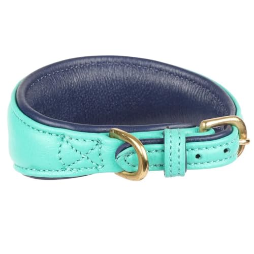 Digby & Fox - Hundehalsband für Windhunde, Leder, Wattiert (XS - Neckline: 21 cm-24 cm) (Petrol) von Digby & Fox
