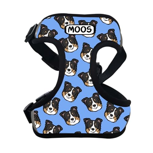 Border Collie Hundegeschirr, personalisierbar, Brustgurt mit Hundegesichtsmuster, maßgeschneidert, verstellbar, Spazierengehzubehör, Geschenk zum Hineinsteigen Border Collie Hundegeschirr, personalisierbar, Brustgurt mit Hundegesichtsmuster, maßgeschneidert, verstellbar, Spazierengehzubehör, Geschenk zum Hineinsteigen von Digi Doggo