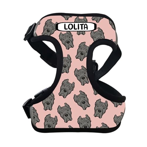 Cane Corso Hundegeschirr, personalisierbar, für große Hunde, mit Namen, verstellbares Geschirr, Hundebesitzer, Geschenk/großer Hund, zum Hineinsteigen Cane Corso Hundegeschirr, personalisierbar, für große Hunde, mit Namen, verstellbares Geschirr, Hundebesitzer, Geschenk/großer Hund, zum Hineinsteigen von Digi Doggo