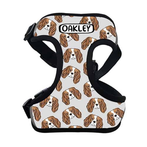 Cavalier King Charles Spaniel Hundegeschirr, personalisierbar, mit Hundenamen, personalisierbar, Haustiername, Spazierengehen, Zubehör, Kleidung, niedliches Geschenk für Cavalier-Besitzer, Liebhaber Cavalier King Charles Spaniel Hundegeschirr, personalisierbar, mit Hundenamen, personalisierbar, Haustiername, Spazierengehen, Zubehör, Kleidung, niedliches Geschenk für Cavalier-Besitzer, Liebhaber von Digi Doggo