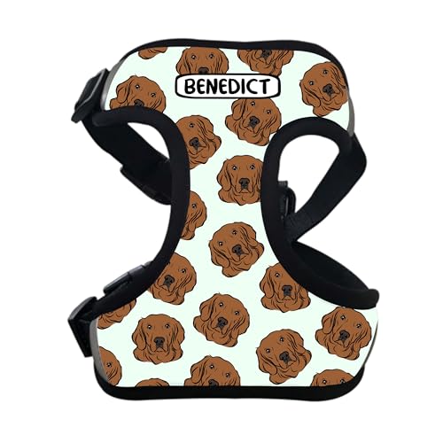 Golden Retriever Hundegeschirr, personalisierbar, mit Brustgurt, Geschenk für goldene Hundemütter, reflektierendes Haustierporträt, Haustierbesitzer-Geschenk Golden Retriever Hundegeschirr, personalisierbar, mit Brustgurt, Geschenk für goldene Hundemütter, reflektierendes Haustierporträt, Haustierbesitzer-Geschenk von Digi Doggo