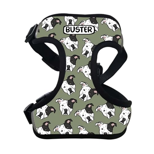 Hundegeschirr mit Staffordshire Bullterrier, personalisierbar, mit Schnalle, Brustgurt zum Hineinsteigen, personalisierbar Hundegeschirr mit Staffordshire Bullterrier, personalisierbar, mit Schnalle, Brustgurt zum Hineinsteigen, personalisierbar von Digi Doggo
