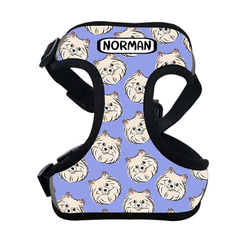 Hundegeschirr mit Zwergspitz-Motiv, personalisierbar, mit Zwergspitz-Gesichtsmuster, reflektierend, Geschenkidee für Hundebesitzer Hundegeschirr mit Zwergspitz-Motiv, personalisierbar, mit Zwergspitz-Gesichtsmuster, reflektierend, Geschenkidee für Hundebesitzer von Digi Doggo
