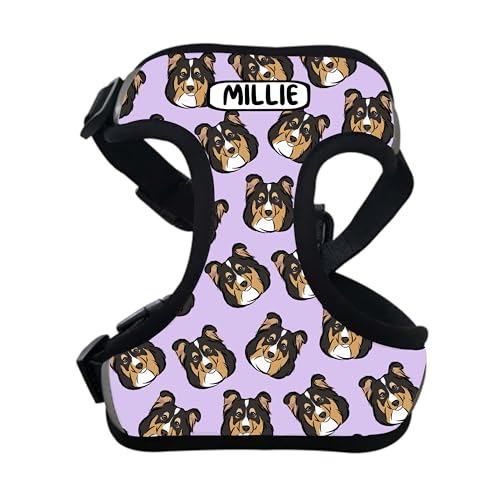 Sheltie Hundegeschirr, personalisierbar, mit Shetland-Schäferhund, verstellbar, Brustzubehör, Geschenk, weicher Hunde-Brustgurt Sheltie Hundegeschirr, personalisierbar, mit Shetland-Schäferhund, verstellbar, Brustzubehör, Geschenk, weicher Hunde-Brustgurt von Digi Doggo