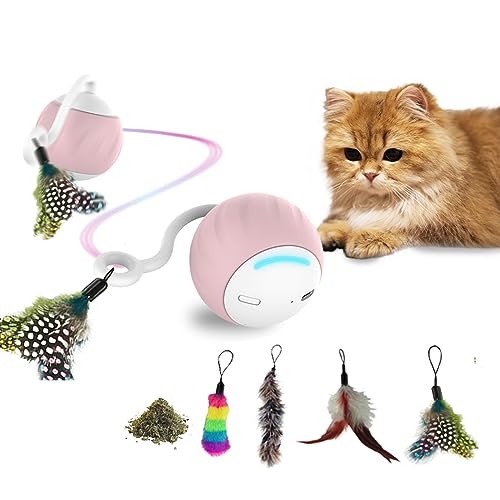 DigiMouse Interaktives Katzenspielzeug mit Sprachaktivierung & 4 Ersatzfedern & Katzenminze - Elektrischer Katzenball - Selbstbeschäftigung für Katzen - LED-Lichtspielzeug mit USB-C Anschluss von DigiMouse