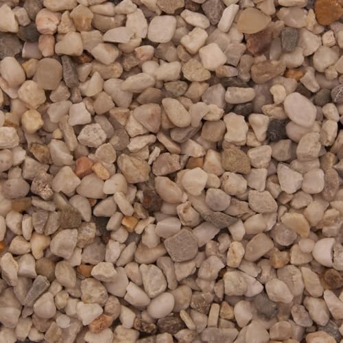 Dihl Nordic Aquatic Aquarium Kies, 1 kg, dekorativer Erbskies, ungiftiges natürliches Substrat, für Fische, Wasserreptilien, Arthropoden, Krebstiere und Amphibien, 1 kg Dihl Nordic Aquatic Aquarium Kies, 1 kg, dekorativer Erbskies, ungiftiges natürliches Substrat, für Fische, Wasserreptilien, Arthropoden, Krebstiere und Amphibien, 1 kg von Dihl