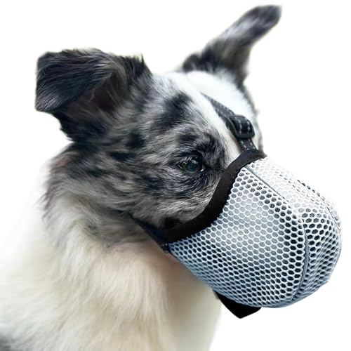 Maulkorb für Große Hunde, Prevent Kauen/Fressen/Beißen Hunde Maulkorb, Atmungsaktiv Reflektierende Einstellbare Maulkorb Mittlere Hund (Blau, M) von Diketone