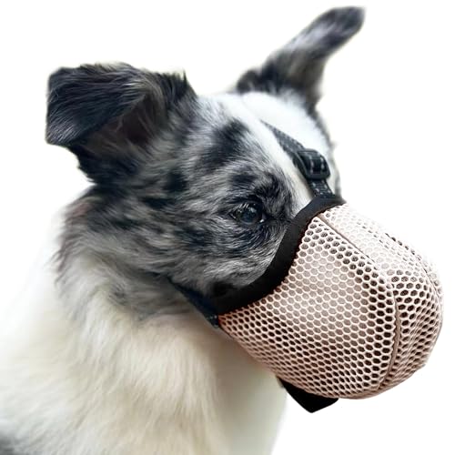 Maulkorb für Große Hunde - Prevent Kauen/Fressen/Beißen, Atmungsaktiv Reflektierende Einstellbare für Mittlere Hunde (Gelb, M) von Diketone