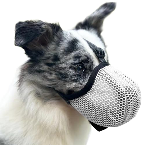 Maulkorb für Große Hunde, Prevent Kauen/Fressen/Beißen Hunde Maulkorb, Atmungsaktiv Reflektierende Einstellbare Maulkorb Mittlere Hund (Grau, S) von Diketone