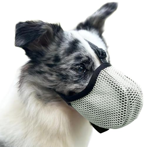 Maulkorb für Große Hunde, Prevent Kauen/Fressen/Beißen Hunde Maulkorb, Atmungsaktiv Reflektierende Einstellbare Maulkorb Mittlere Hund (Grun, M) von Diketone