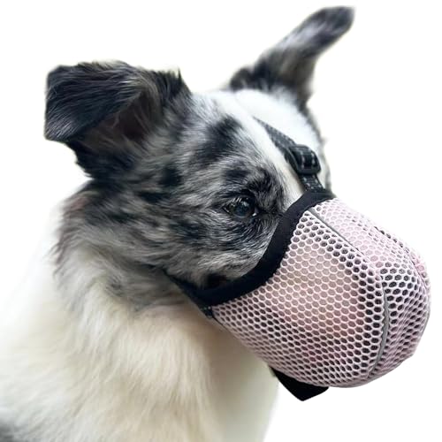 Maulkorb für Große Hunde, Prevent Kauen/Fressen/Beißen Hunde Maulkorb, Atmungsaktiv Reflektierende Einstellbare Maulkorb Mittlere Hund (Rosa, M) von Diketone