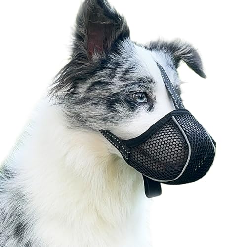 Maulkorb für Große Hunde - Prevent Kauen/Fressen/Beißen, Atmungsaktiv Reflektierende Einstellbare für Mittlere Hunde (Schwarz, L) von Diketone