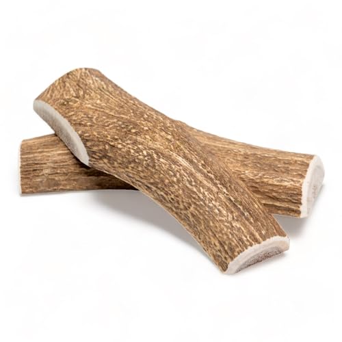 Dilecti Geweih für Hunde - Natürliche, robuste und nahrhafte Kauartikel aus Hundegeweih. Reich an Proteinen, Mineralien und Vitaminen! - XL (2er Pack) halbiert Dilecti Geweih für Hunde - Natürliche, robuste und nahrhafte Kauartikel aus Hundegeweih. Reich an Proteinen, Mineralien und Vitaminen! - XL (2er Pack) halbiert von Dilecti