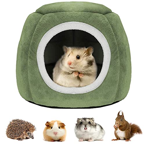 21cm Kleines Haustiernest, Hamster Haus Bett, Chinchilla Kleines Haustierbett, Warmes Haustierbett, Meerschweinchen-Bett für Igel, Ratte, Eichhörnchen, Eidechse, Frosch, Gecko, Chamäleon (Grün, S) 21cm Kleines Haustiernest, Hamster Haus Bett, Chinchilla Kleines Haustierbett, Warmes Haustierbett, Meerschweinchen-Bett für Igel, Ratte, Eichhörnchen, Eidechse, Frosch, Gecko, Chamäleon (Grün, S) von Dilireba