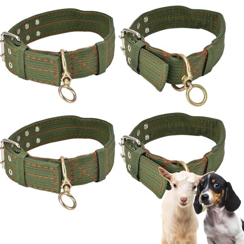4 Stück Verstellbares Dickes Hundehalsband, Tierhalsband, Schafhalsband, Hundehalsband Canvas Halsband, Verstellbares Kleines Schafhalsband, für Pferd, Schaf, Rind, Hund, Kamel 4 Stück Verstellbares Dickes Hundehalsband, Tierhalsband, Schafhalsband, Hundehalsband Canvas Halsband, Verstellbares Kleines Schafhalsband, für Pferd, Schaf, Rind, Hund, Kamel von Dilireba