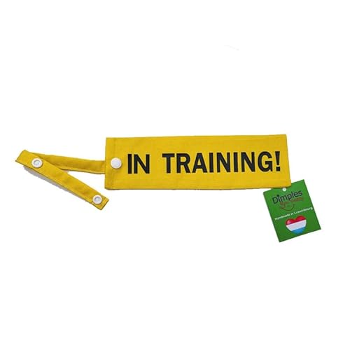 Dimples Leinenüberzug IM Training als Hülle für die Hundeleine während der Ausbildung des Hundes zum Schulhund Assistenzhund Dimples Leinenüberzug IM Training als Hülle für die Hundeleine während der Ausbildung des Hundes zum Schulhund Assistenzhund von Dimples - Sew Happy