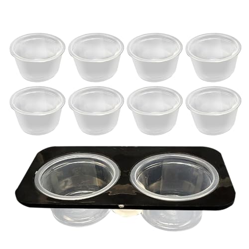 Dinchaakuarry Echsenwasserschale, Reptilien -Fütterungsschale - Water Bowl Reptile Food Feeder - Abnehmbare Tankzubehör mit Tassen Fütterungsschale für bärtigen von Dinchaakuarry