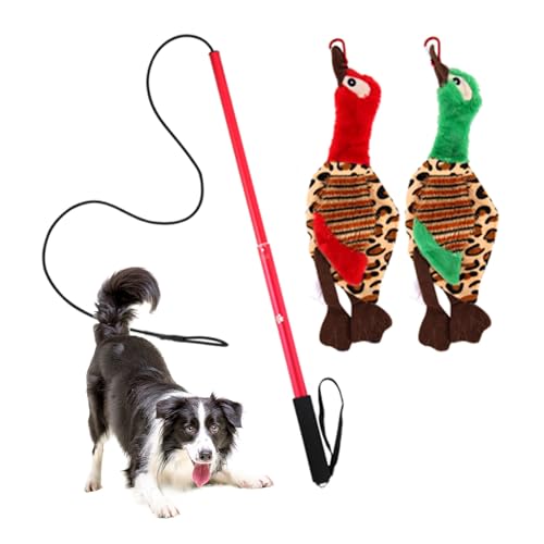 Dinchaakuarry Hund Excorable Teaser, Seilspielzeug mit Flexibles Nylonseil | Nicht-Schlupf-Griff und 2 Plüschspielzeug, interaktives Spielzeug im Freien zum Ziehen des Kauentrainings Dinchaakuarry Hund Excorable Teaser, Seilspielzeug mit Flexibles Nylonseil | Nicht-Schlupf-Griff und 2 Plüschspielzeug, interaktives Spielzeug im Freien zum Ziehen des Kauentrainings von Dinchaakuarry