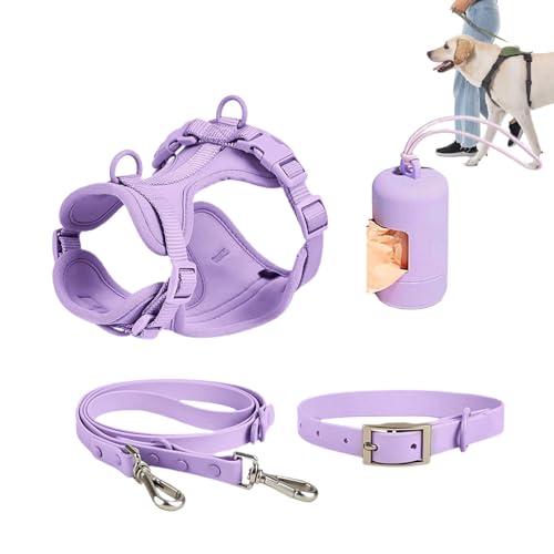 Dog Lift Harness - No-Pull Harness Medium Dog Harness Lead Set Harness | Secure Dog Collar Fashionable Everyday Dog Lead Set, Comfortable Pet Harness for Walking, 30 x 30 x 40 cm Dog Lift Harness - No-Pull Harness Medium Dog Harness Lead Set Harness | Secure Dog Collar Fashionable Everyday Dog Lead Set, Comfortable Pet Harness for Walking, 30 x 30 x 40 cm von Dinchaakuarry