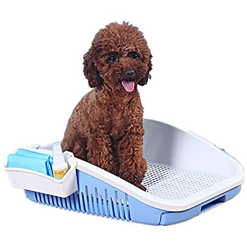 Hundetoilette, Hundetoilette, Urinal für kleine Hunde, Töpfchen, Zaunerhöhung und -verdickung, um Spritzwasser zu vermeiden, Hundezubehör-Blau von Ding&ng