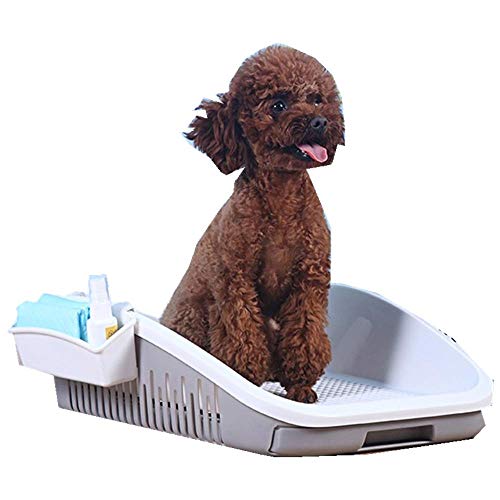 Hundetoilette, Hundetoilette, Urinal für kleine Hunde, Töpfchen, Zaunerhöhung und -verdickung, um Spritzwasser zu vermeiden, Hundezubehör-grau von Ding&ng
